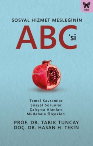 Sosyal Hizmet Mesleğinin ABC'si ;Temel Kavramlar, Sosyal Sorunlar, Çalışma Alanları, Müdahale Ölçekleri