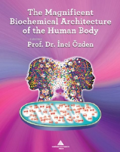 The Magnificent Biochemical Architecture of the Human Body İnci Özden