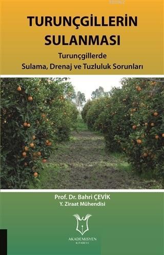 Turunçgillerin Sulanması; Turunçgillerde Sulama Drenaj ve Tuzluluk Sorunları