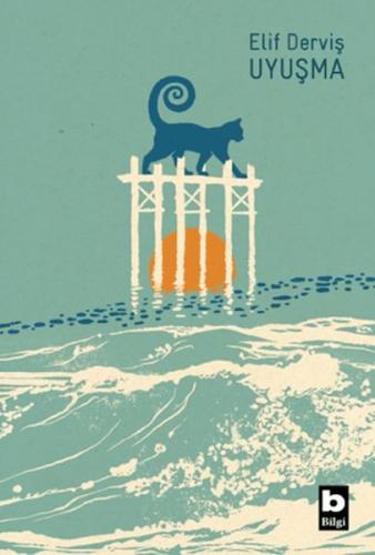 Uyuşma Elif Derviş