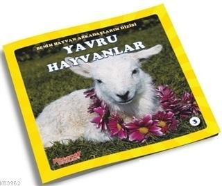 Yavru Hayvanlar - Benim Hayvan Arkadaşlarım Dizisi 3